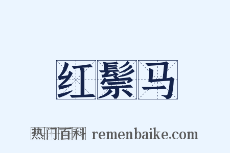 红鬃马是什么意思的图片